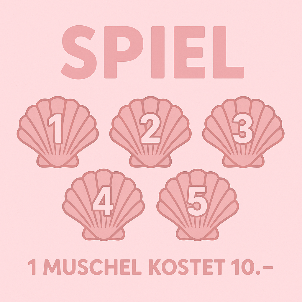 🫶🐚Glitzer Muschel Spiel